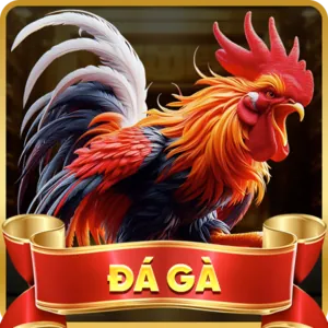 Bảo mật tối đa